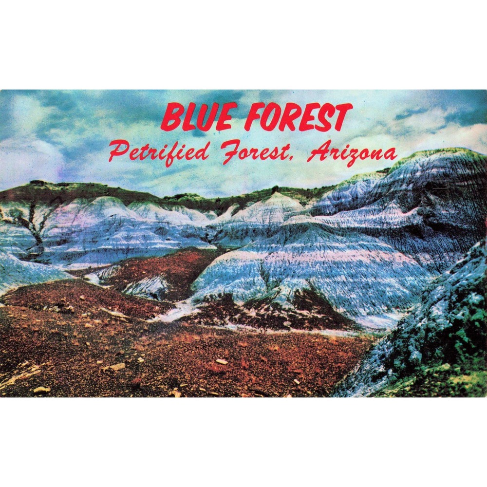 Vintage Blue Forest Petrified Forest Arizona Petley Postcard Stan Davis K348